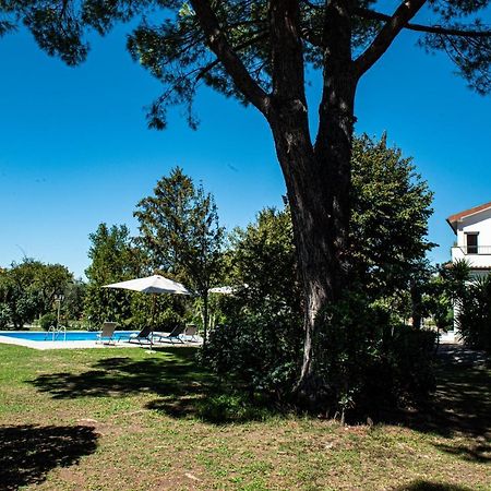 Terre Etrusche Guest House-Terme -3 Minuti Da Viterbo Centro Exterior photo