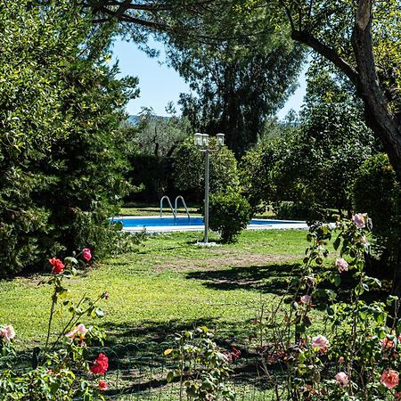 Terre Etrusche Guest House-Terme -3 Minuti Da Viterbo Centro Exterior photo
