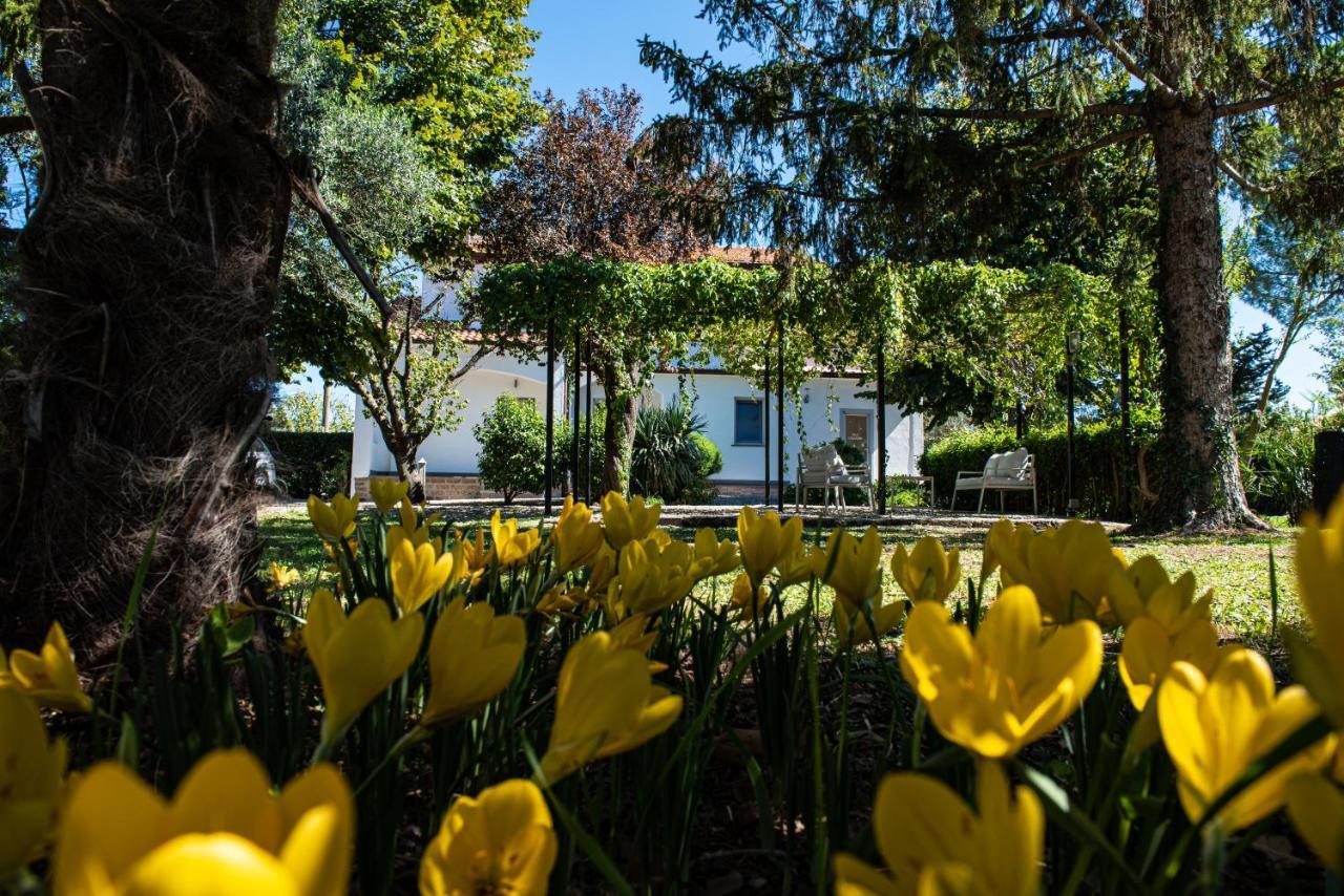 Terre Etrusche Guest House-Terme -3 Minuti Da Viterbo Centro Exterior photo