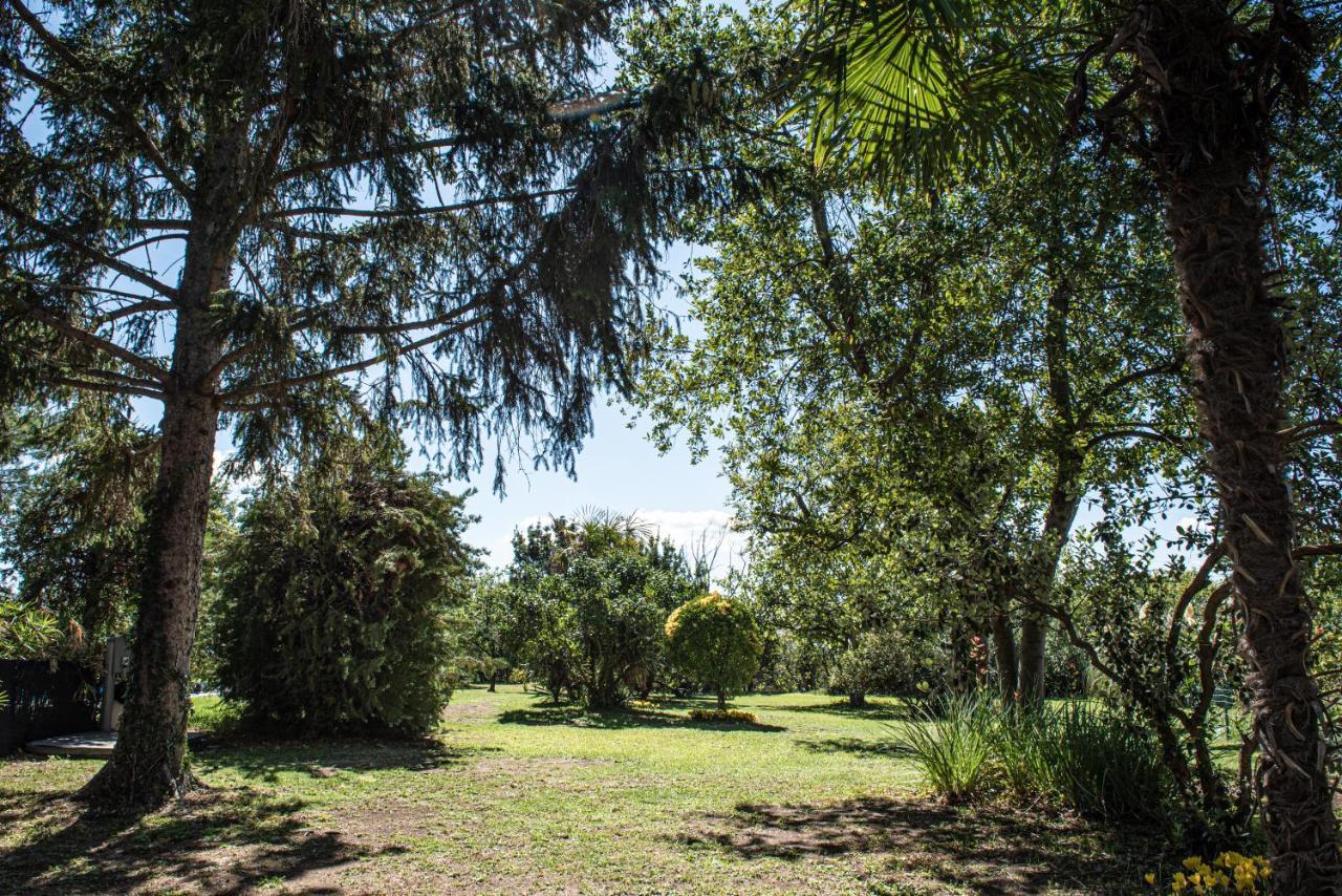 Terre Etrusche Guest House-Terme -3 Minuti Da Viterbo Centro Exterior photo